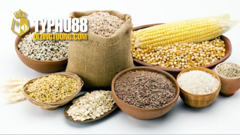 Thức ăn tốt nhất cho gà chọi mau sung sức 3 Phương pháp cho gà chọi ăn uống đúng cách