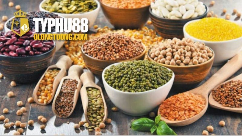Thức ăn tốt nhất cho gà chọi mau sung sức 4 Thực phẩm tự nhiên cho gà chọi