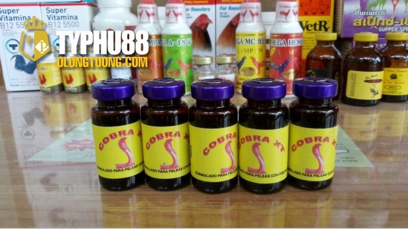 Thuốc đá gà bịp: Chiêu trò thường gặp khi thi đấu 2 Công dụng của Thuốc đá gà